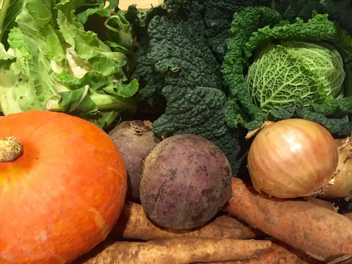 weight Photo of vegetables including pumpkin onion cabbage swede for weightloss weight help