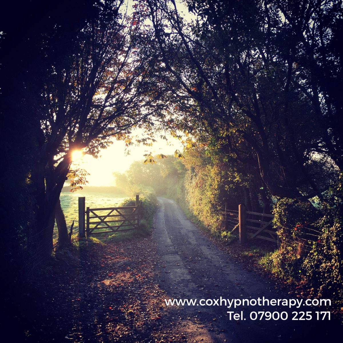 How Autumn shows us to let go Neil Cox Hypnotherapy Cornwall