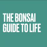 bonsai guide to life by neil cox