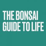 bonsai guide to life book